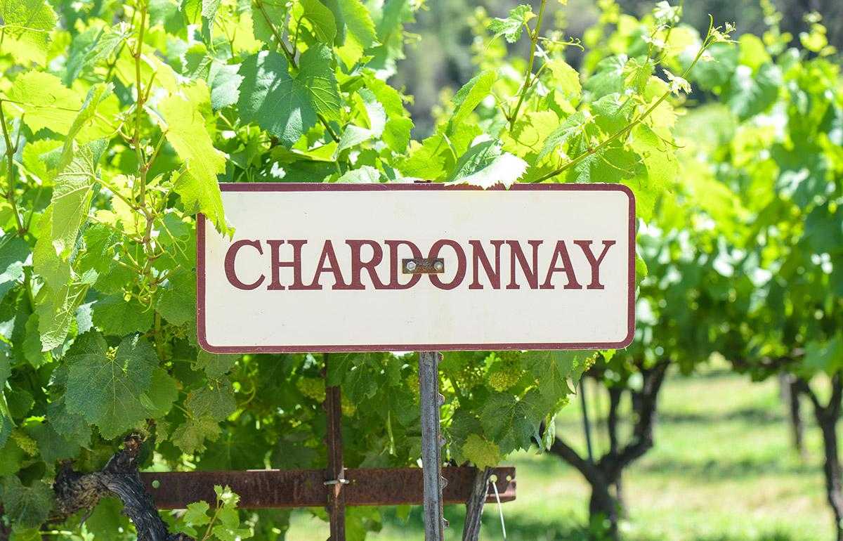 Strains to know: Chardonnay