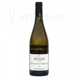 Sauvignon Blanc Privilage IGP Pichon