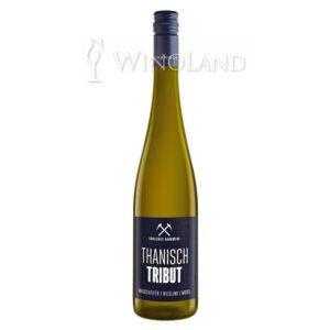 Thanisch Tribut Grauschifer Riesling Trocken