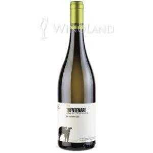 Trentenare Paestum Fiano