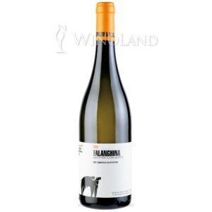 Falanghina IGP Campania