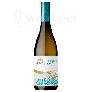 IRPINIA FALANGHINA D.O.C.
