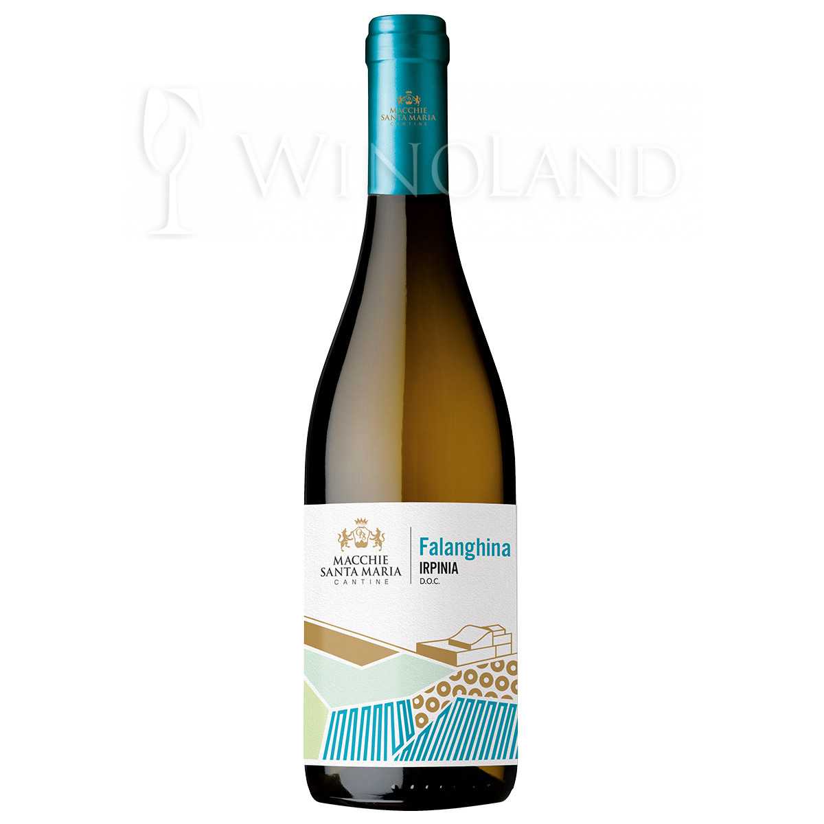 IRPINIA FALANGHINA D O C Winoland