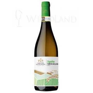 SIGNIFER Fiano di avellino D.O.C.G